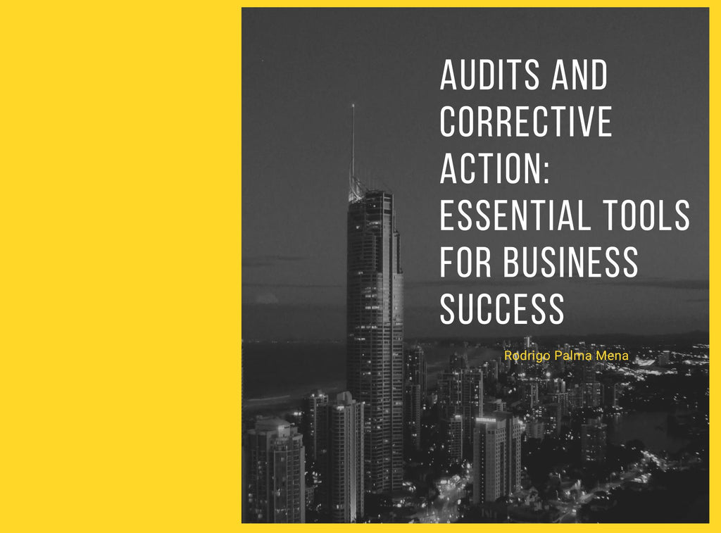 Ebook Audits and Corrective Action: Essential Tools for Business Success (English)