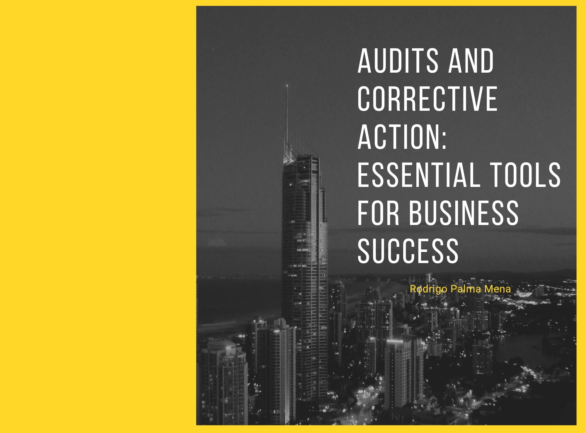Ebook Audits and Corrective Action: Essential Tools for Business Success (English)